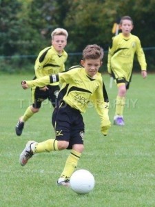 BVB 080