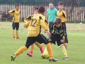 WOV 144