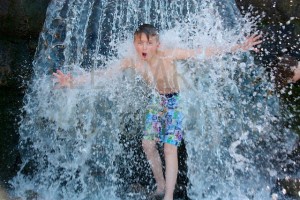 IMG_8911