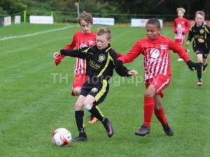 pbw-031