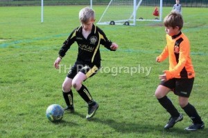 WOV 125