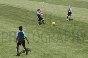 HART _077