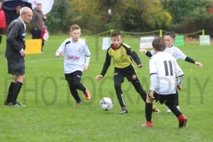 PLY _153